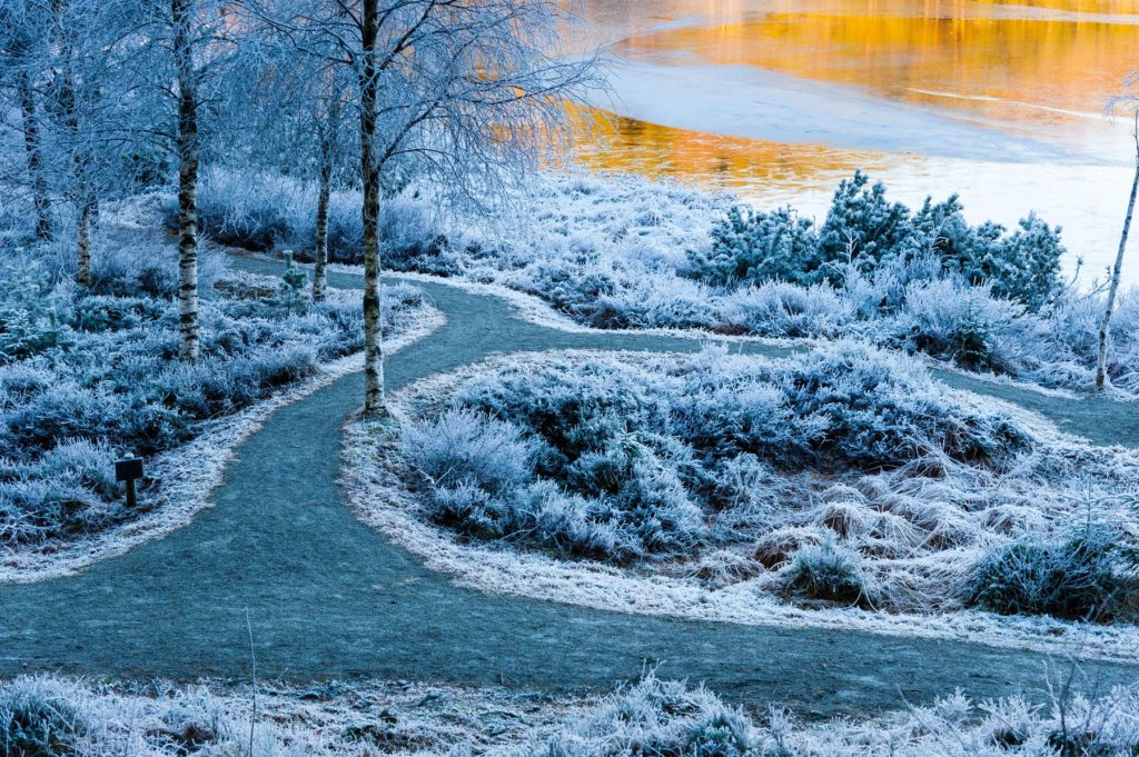Norway, Sandnes. Winter in Rogaland Arboretum.
