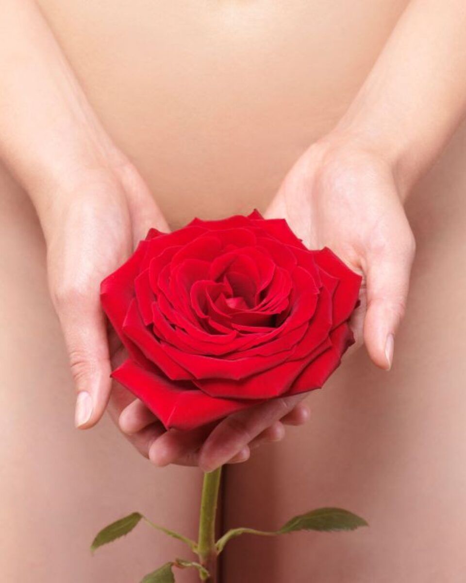 Postoje li “idealne stidne usne”?