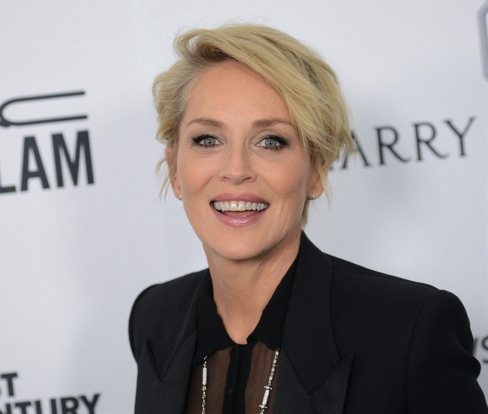 SHARON STONE @ the 2015 amFAR's Inspiration Gala held @ the Milk studios. October 29, 2015, Image: 264285284, License: Rights-managed, Restrictions: AMERICA, Model Release: no, Credit line: Profimedia, Visual