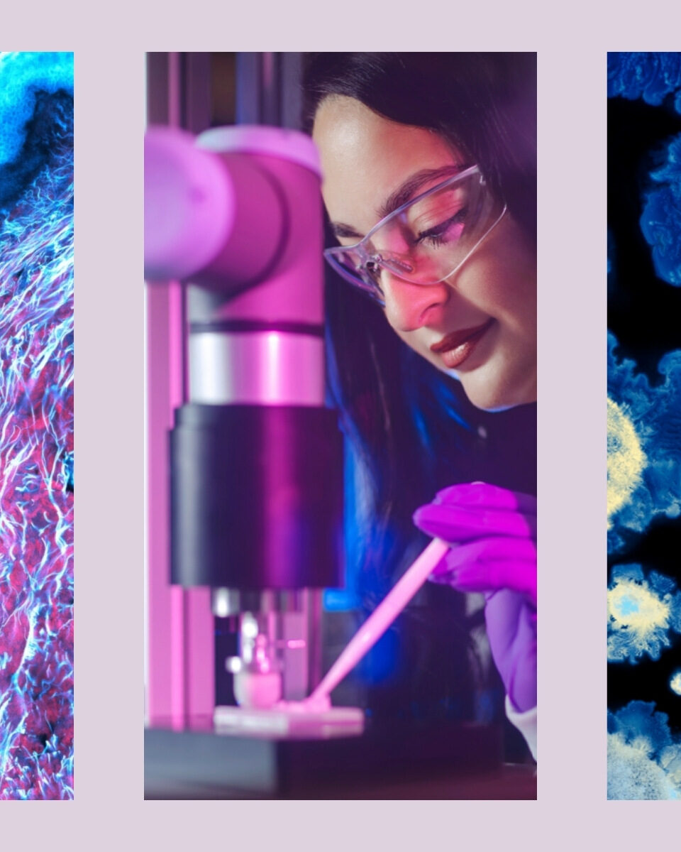 Partnerstvo L’Oréal Grupe i Instituta Pasteur mijenja budućnost znanosti o koži