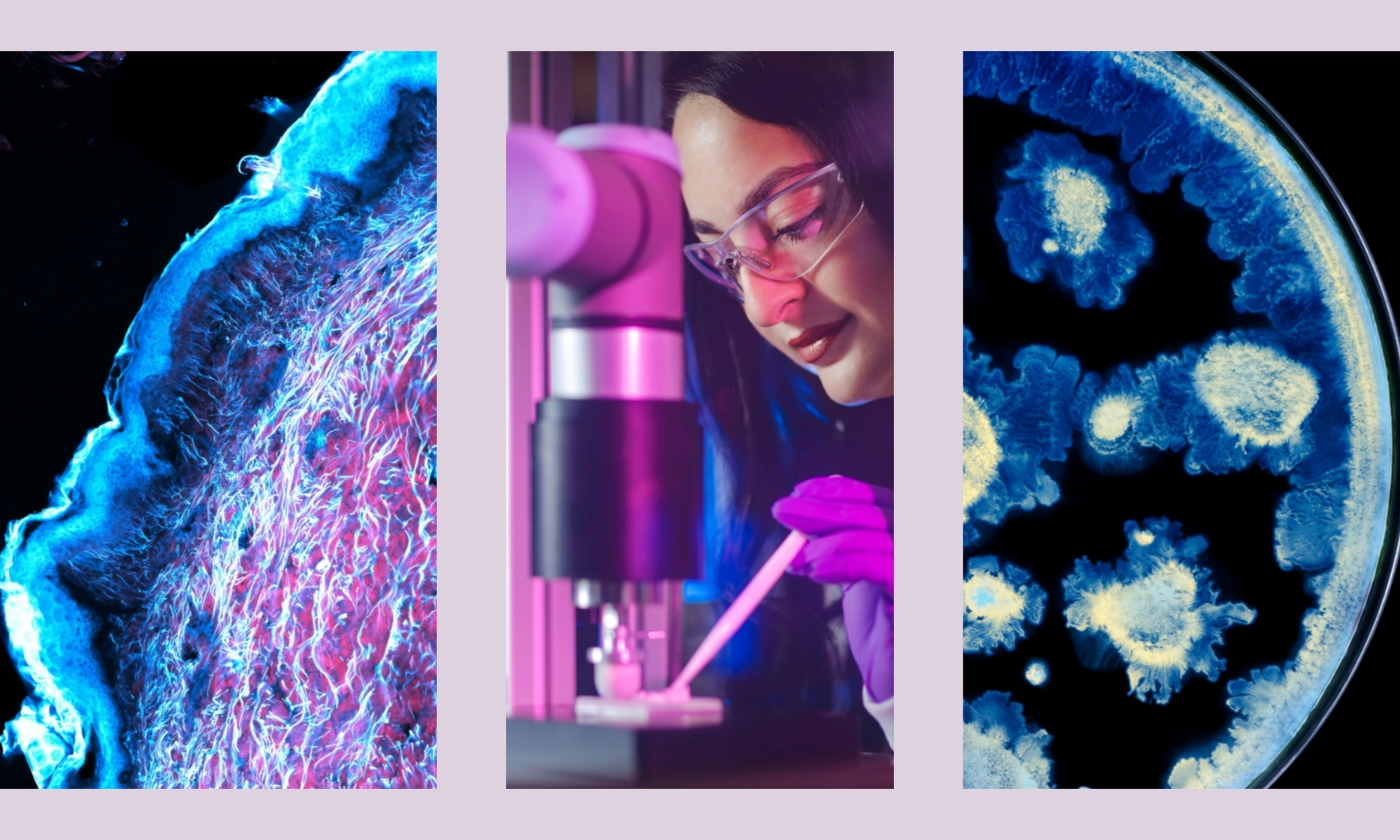 Partnerstvo L’Oréal Grupe i Instituta Pasteur mijenja budućnost znanosti o koži