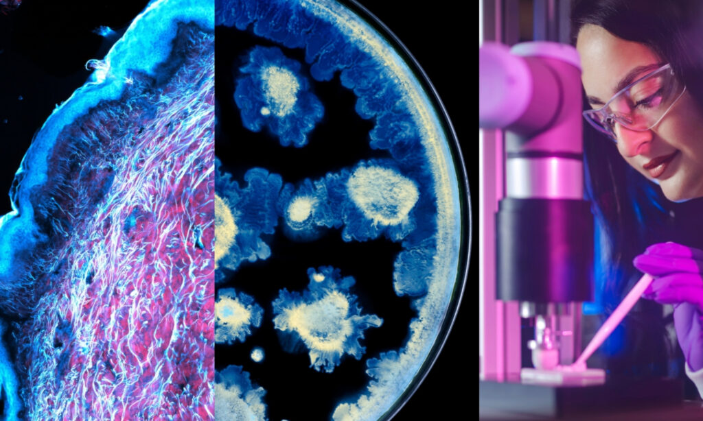 Partnerstvo L’Oréal Grupe i Instituta Pasteur