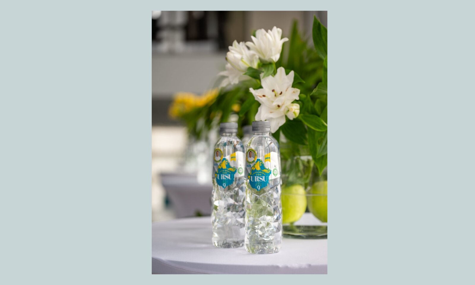 URSU9 prirodno alkalna voda iz španjolskog izvora El Oso